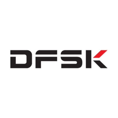 DFSK logo